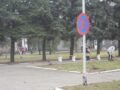 Subbotnik-35