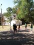 basketball2