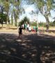 basketball3