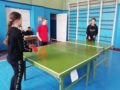 nastolnij-tennis-1