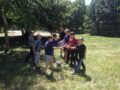 olimpiiskoe-leto-shkola-internat-2