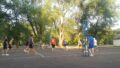 voleyboll1